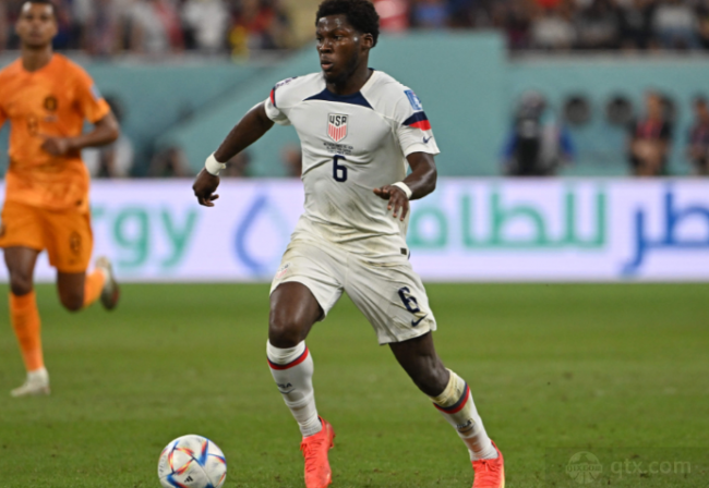 而托多尼则 而托多尼则