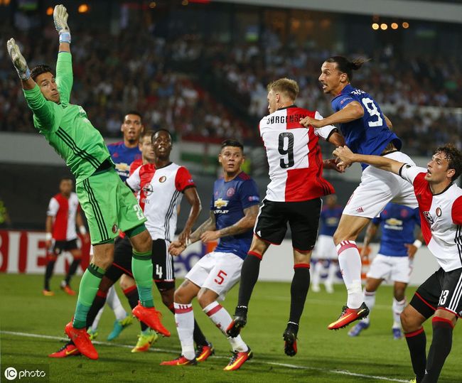 报告的样本 报告的样本